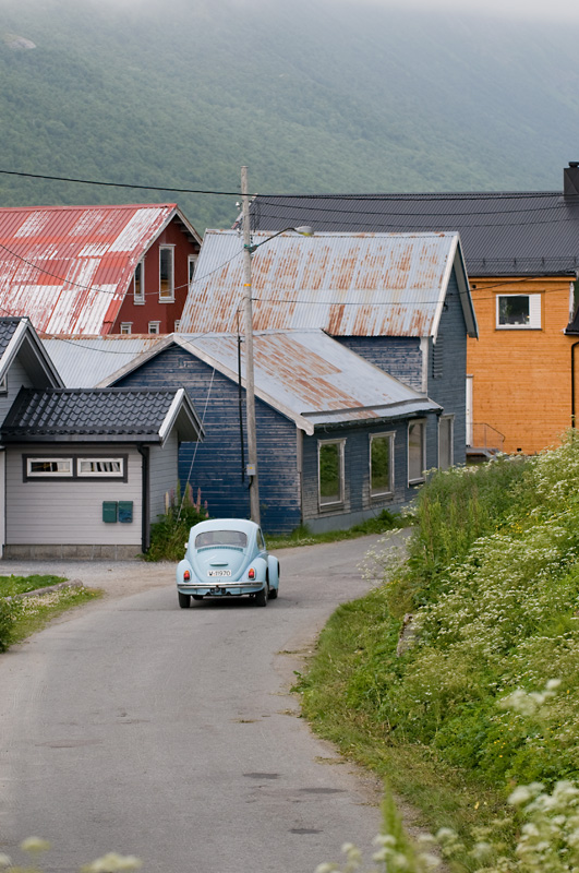 35 Gryllefjord 7.jpg - Gryllefjord hood part 3